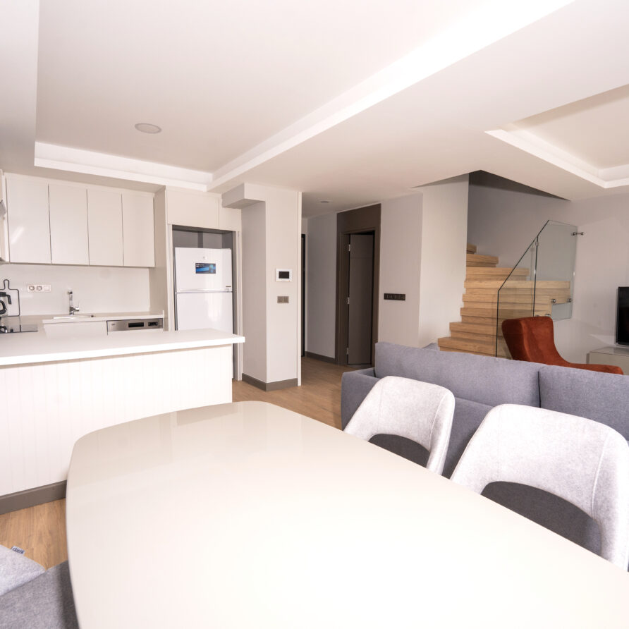 Modern living area and kitchen in Holicas Luxury Garden Suite