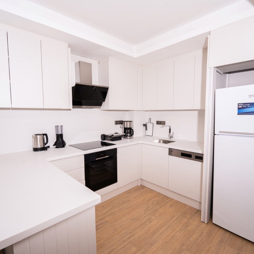 Modern living area and kitchen in Holicas Luxury Garden Suite